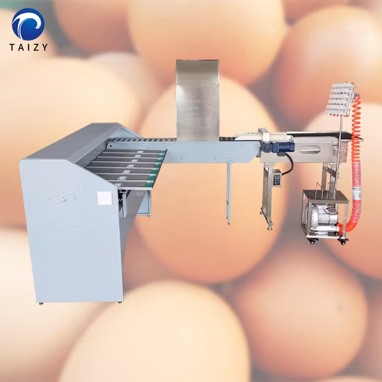 Egg Washing and Grading Machine Egg Grader with Printer Accumulator Egg Sorter Machine
