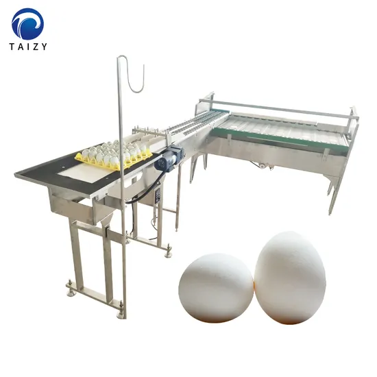 Egg Washing and Grading Machine Egg Grader with Printer Accumulator Egg Sorter Machine