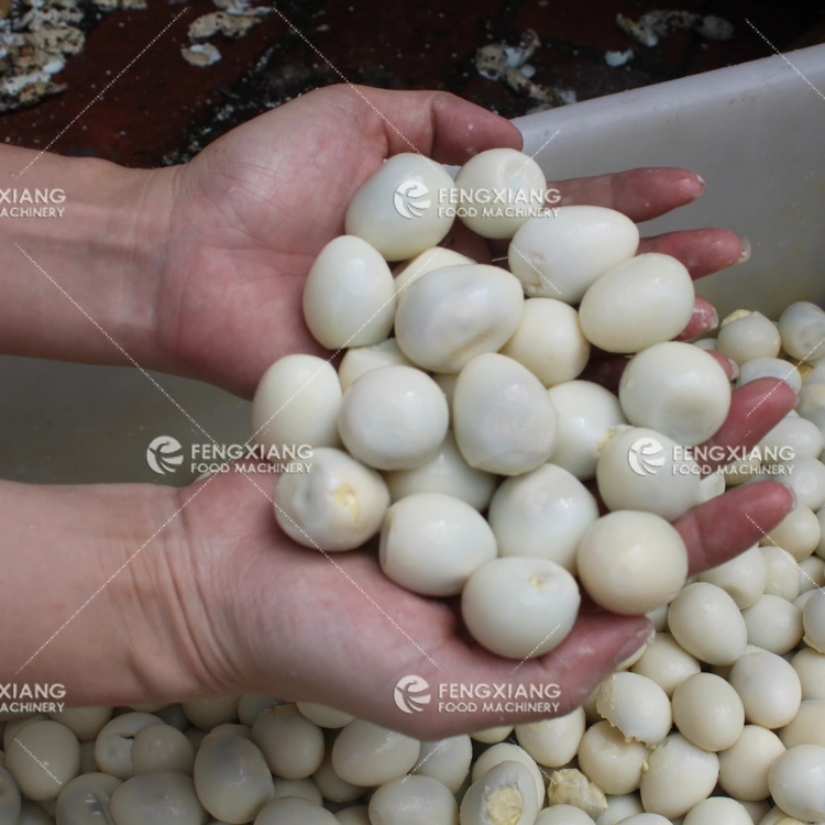 Food Processing Factory Quail Egg Shelling Machine