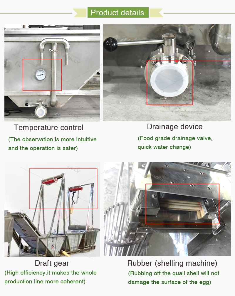 Factory Supply Quail Egg Cleaning Shelling Machine Quail Egg Peeling Making Line