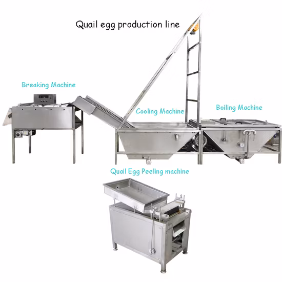 Manufacturer Quail Eggs Boiling Machine Quail Eggshell Breaking Peeling Machine