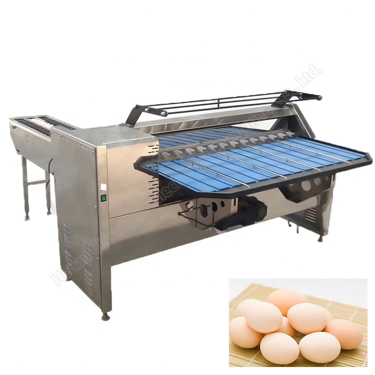 Egg Weight Grading Machine Sorting Egg Machine Eggs Grader Sorted Machine Machine to Sort Eggs Egg Sorting Machine Grader