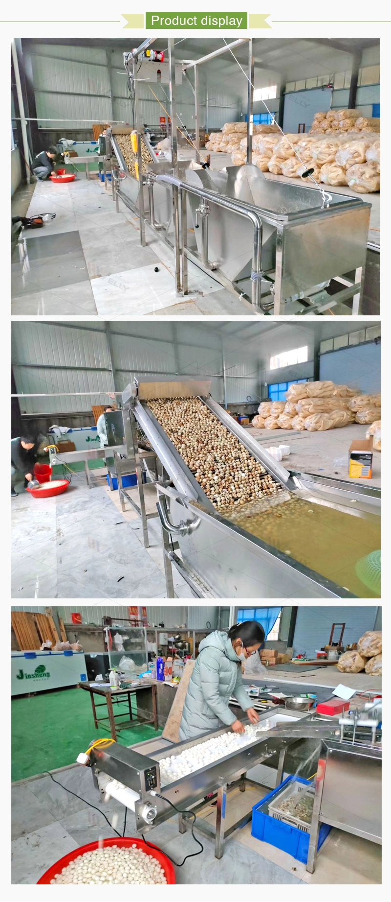 Factory Supply Quail Egg Cleaning Shelling Machine Quail Egg Peeling Making Line