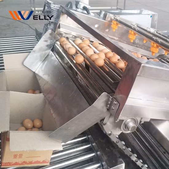 Промышленно приобретенные Eierschälmaschine, Eierkochmaschine, Eierkocher