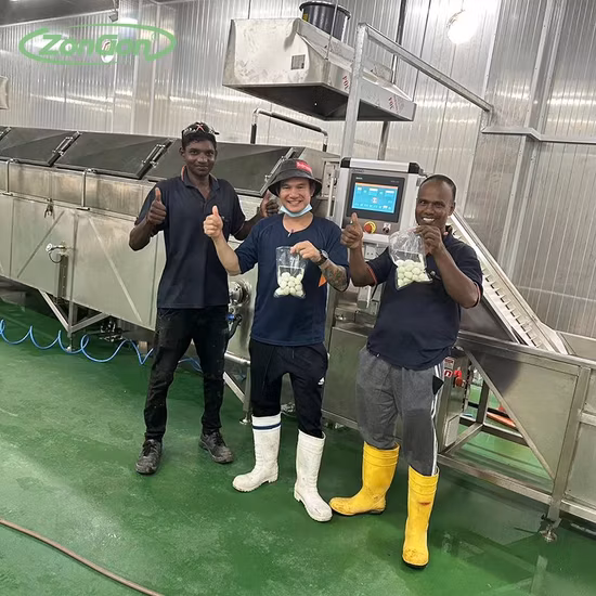 Автоматическая машина для очистки перепелиных яиц, машина для очистки перепелиных яиц от вареных перепелиных яиц