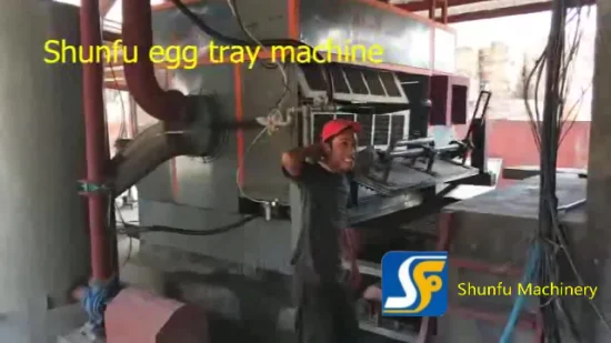 Машина для производства бумажной кожуры фруктов/машина для производства яичной скорлупы с насосом с высокой производительностью