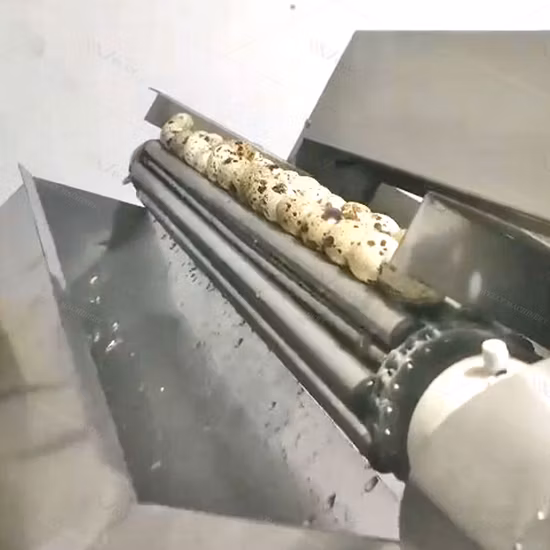  Большая линия по переработке перепелиных яиц.  Линия для очистки вареных перепелиных яиц.  Линия для варки и очистки перепелиных яиц