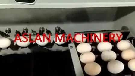Высококачественный сортировщик яиц с высокой эффективностью/Электрическая машина для сортировки яиц/Новый тип машины для сортировки утиных яиц по весу