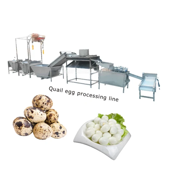 Заводская поставка, машина для очистки и очистки перепелиных яиц, линия по производству очистки перепелиных яиц