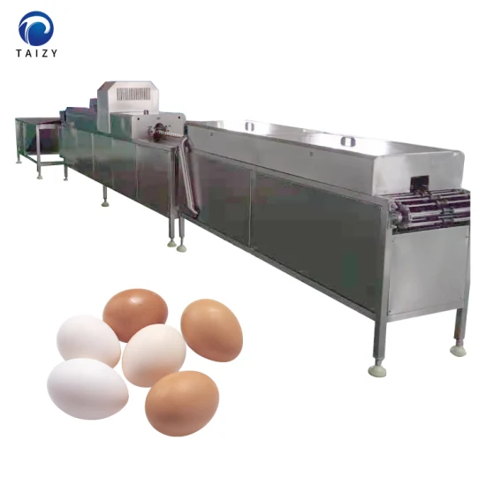 Машина для мытья птичьих яиц из нержавеющей стали, очиститель, машина для очистки куриных яиц, машина для мытья куриных яиц